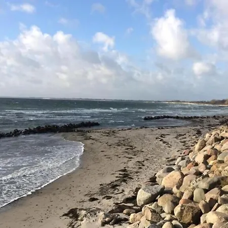Villavilla #349 - Råbylille Strand, Lollandfalstermøn * Stege